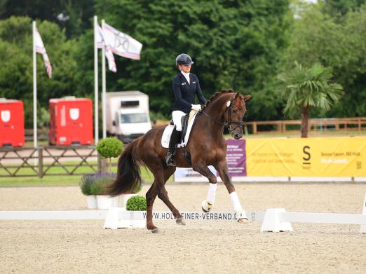 Foto: Der dreijährige Verbandshengst Bonduel v. Bonds-Zack (ZG Horz, Flensburg) gewann unter Lea-Katharina Strothmann die Bundeschampionatsqualifikation - Fotograf: Janne Bugtrup