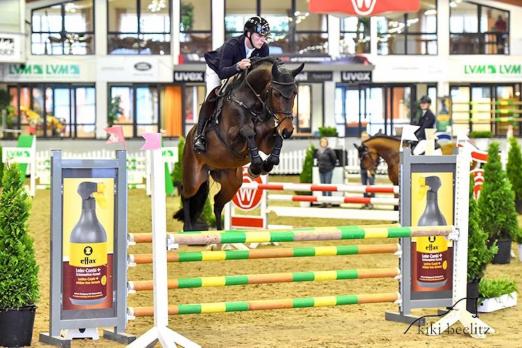Foto: Can Tici von Cornet Obolensky aus dem Hengstbestand der Böckmann Pferde GmbH hat seinen Sporttest als "Klassenprimus" mit der Gesamtnote 9,05 bestanden - Fotograf: U. Beelitz