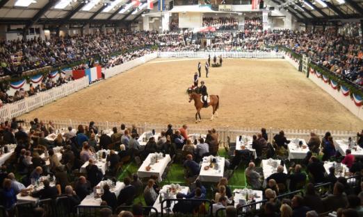 Foto: Cassira während der Auktion in der vollen Holstenhalle in Neumünster