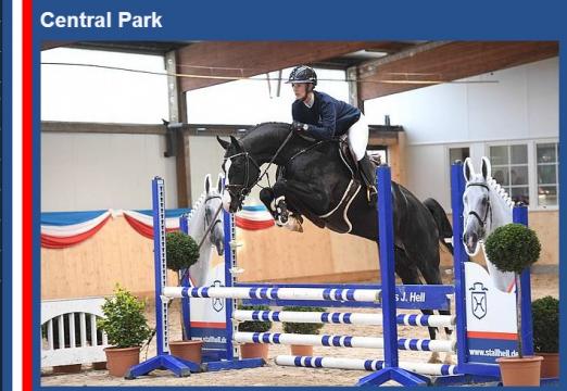 Foto: Central Park - Fotograf: Stefan Lafrentz