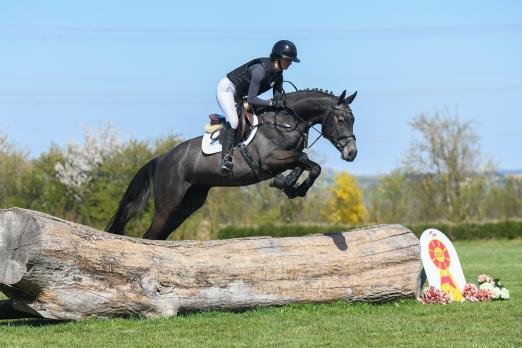 Foto: KN 2 Chac - Boom | Wallach *2021 v. Charthago Blue - Quidams Rubin - Fotograf: Robert Kraft