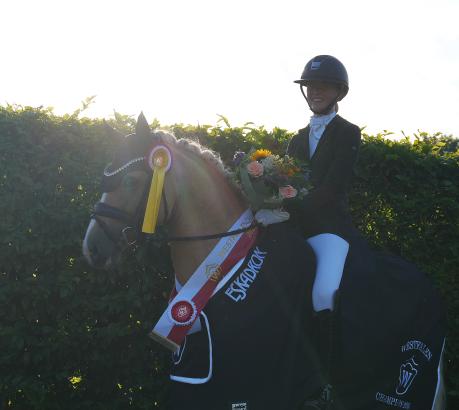 Foto: Westfalen-Champion der sechsjährigen Dressurponys Another Star - Fotograf: Westfalenpferde