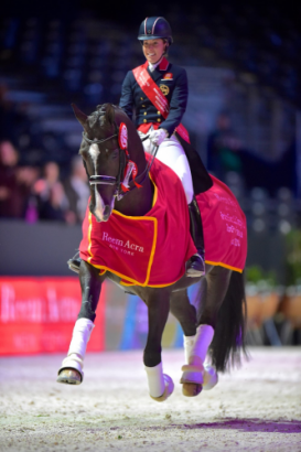 The girl with the floating horse: Charlotte Dujardin (GBR) on a lap of honour with Valegro after their win in the Reem Acra FEI World Cup™ Dressage Final 2014 in Lyon (FRA). Dujardin and Valegro will defend their title in Las Vegas (USA) next month. FEI/Arnd Bronkhorst 