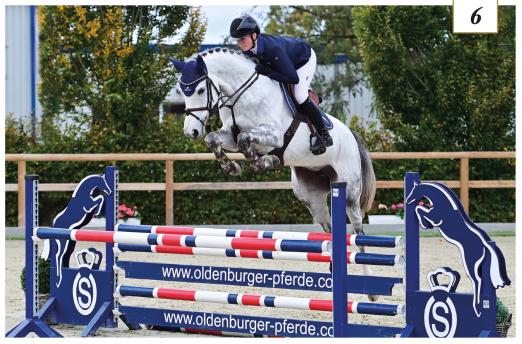 Foto: Charly Blue v. Chacoon Blue - Catoki - Drosselklang II - Fotograf: OLD Art