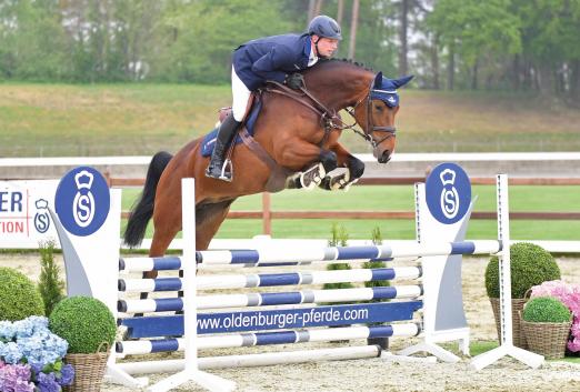 Foto: Nachwuchstalent: Chiara v. Contendro I - Lord Pezi - Argentinus - Fotograf:Gr. Feldhaus)