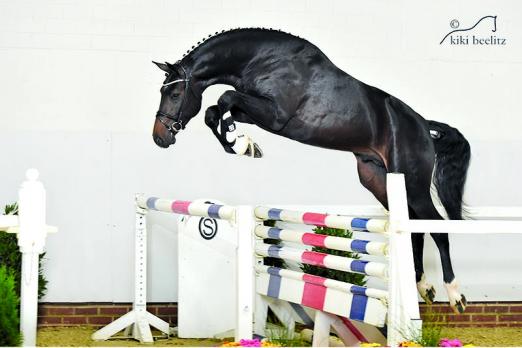 Foto: Comfort (Christian-Last Liberty ) - Fotograf: Kiki Beelitz