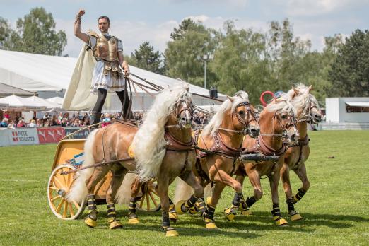 Foto: Claus Luber mit Quadriga von Petra Hapke - Fotograf: Petra Hapke