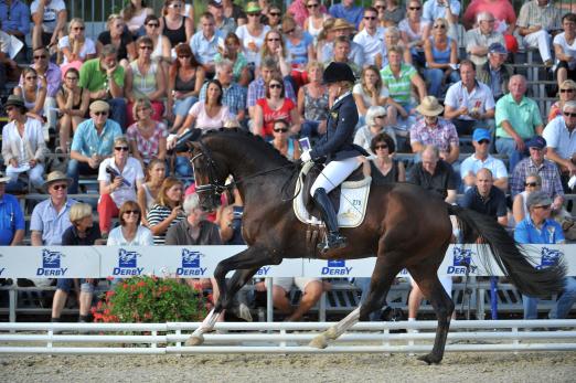Foto: Der Vize-Bundeschampion Coal Diamond unter Jessica Andersson/SWE - Fotograf: Tanja Becker
