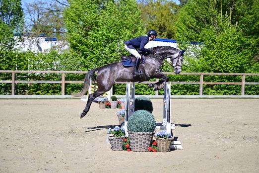 Foto: Kat. Nr. 4 - Enya v. Colman - Contendro I - Fotograf: @OLD-Art