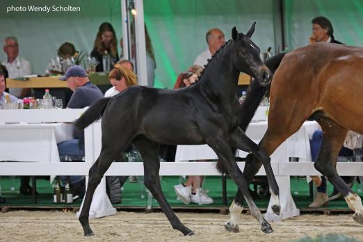 Foto: Come and Get Me VK (Conthargos x Clinton) - Fotograf: Wendy Scholten