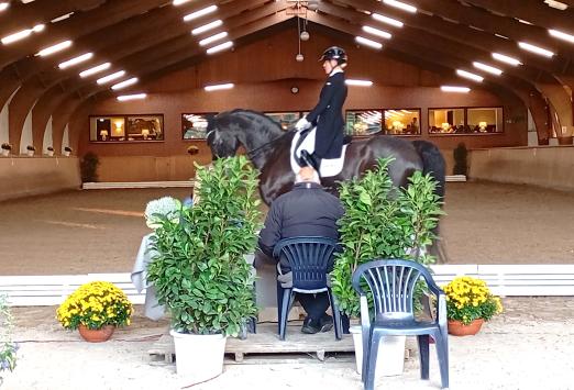 Foto: Mir drei Pferden beim einladend gestalteten Schenefelder Dressurfestival: Juliane Brunkhorst - hier mit Con Cento - gewann an Tag eins schon den Grand Prix der Nordic GP Dressage Trophy - Fotograf: ALL