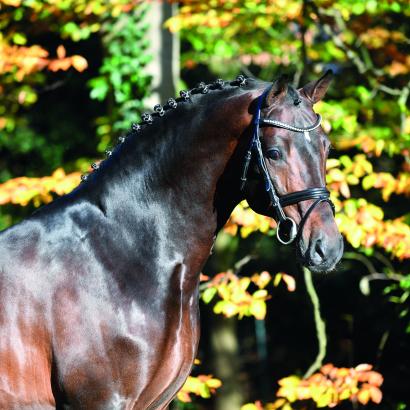 Foto: Conthargos - Fotograf: Mark Gr.Feldhaus