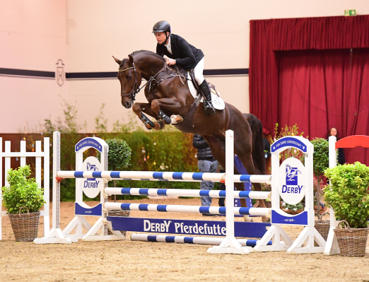 Foto: Den fünfjährigen Cultino v. Casaltino-Colman setzte Rolf-Göran Bengtsson (SWE) eindrucksvoll in Szene. - Fotograf: Janne Bugtrup)