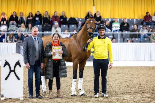 Foto: Ein Weltmeyer-Preis ging an den Dynamic Dream/Escolar-Sohn DC-10 - Fotograf: Hannoveraner Verband