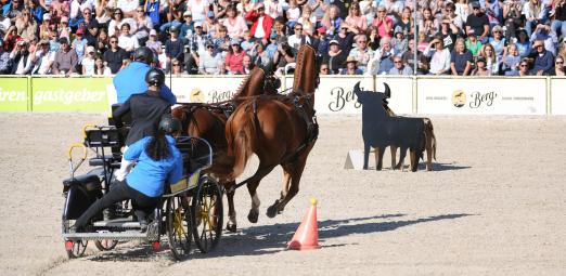 Foto: Speedtrail and Drive - Fotograf: Stephan Kube