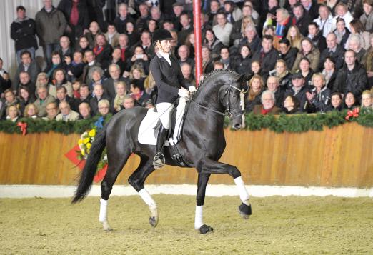 Foto: Danciano - Fotograf: Kiki Beelitz