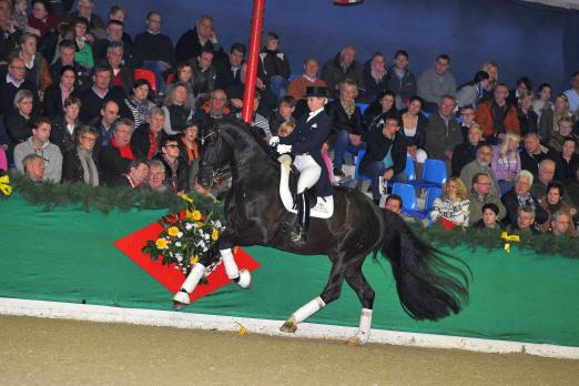 Foto: Dante Weltino OLD unter Therese Nilshagen/SWE - Fotograf: Tanja Becker
