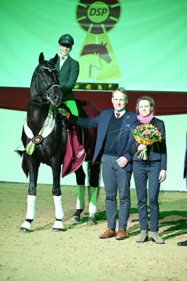 Foto: Elitehengst Decurio - Fotograf: Hubert Fischer