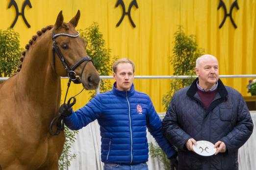 Foto: Destacado wurde mit dem Weltmeyer-Preis ausgezeichnet. Sein Züchter Heinrich Gießelmann (rechts) nahm den Ehrenpreis entgegen, Matthias Alexander Rath präsentierte den Vizeweltmeister der fünfjährigen Dressurpferde in der Niedersachsenhalle - Fotograf: Hannoveraner Verband