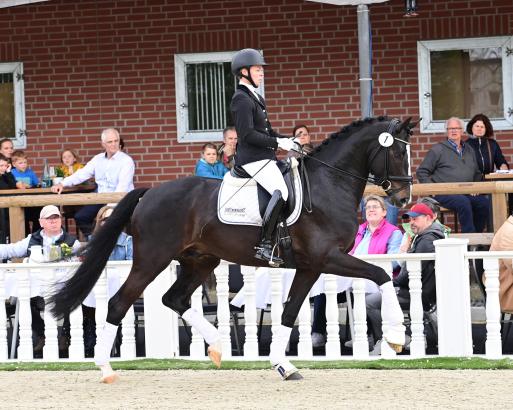 Foto: Preisspitze Diamonds Detto v. Diamond Deluxe - Foundation - Sunny-Boy - Fotograf: OLD Art