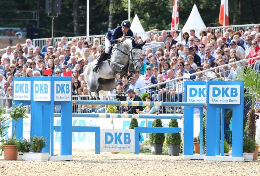 Foto: Der neue Champion der fünfjährigen Springpferde Diaron v. Diarado unter Patrick Stühlmeyer - Fotograf: ACP Pantel