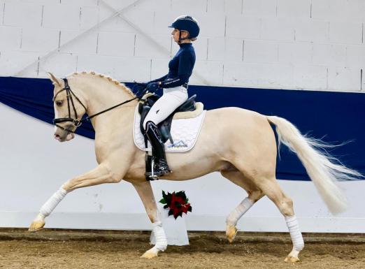 Foto: Dream in Gold AT NRW - Fotograf: Ponyforum GmbH