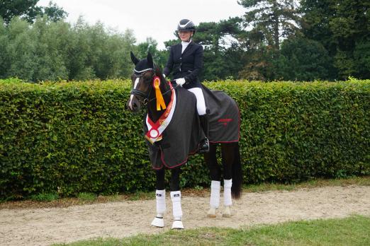 Foto: Westfalen-Champions der drei- und vierjährigen Reitpferde und -ponys - Fotograf: Westfälisches Pferdestammbuch