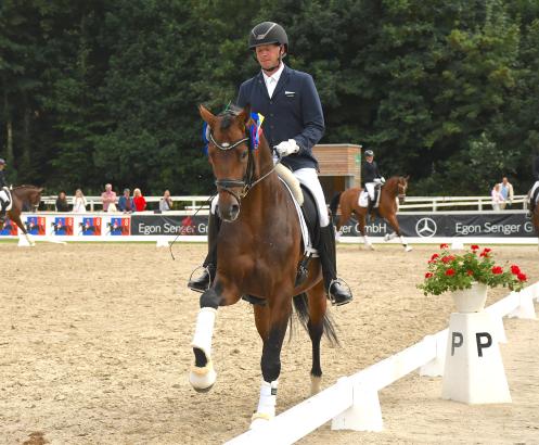 Foto: Die jüngsten Pferde des 77. Oldenburger Landesturniers glänzten in den Qualifikationen zum Rasteder Reitpferdechampionat - hier Eike Bewertungen mit Be my Gold, der zwei Vollbrüder durch die Reitpferdeprüfung pilotierte, mit Be Gold gewann und sich mit Be my Gold platzierte - Fotograf: OLT