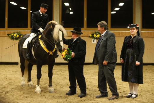 Foto: Anlässlich der Körung in St. Märgen 2018 wurde Dachs als Elitehengst ausgezeichnet. Züchter Alfred Laubis (Titisee-Neustadt) und Karl-Heinz Eckerlin gratulieren Reiter PWM Jochen Ott zur Auszeichnung dieses Ausnahmehengstes - Fotograf: D. Matthaes