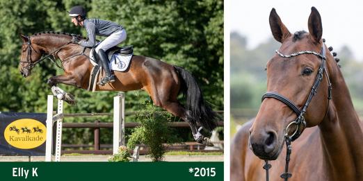 Foto: Auktionsspitze Elly K - Fotografen: Thomas Ix, Kiki Beelitz