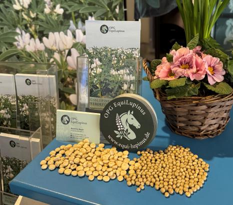 Foto: Stellvertretende Gestütsleiterin Dr. Carolin Eiberger und Projektkoordinatorin Madeline Meyer informierten am Messestand persönlich über das Projekt und standen für Fragen zur Verfügung - Fotograf: HuL