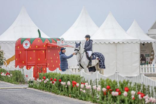 Foto: Die DKB Pferdewoche in Hohen Wieschendorf auf dem Erdbeerhof Glantz vom 22. – 26. Mai 2024 - Fotograf: Pauline Ullmann