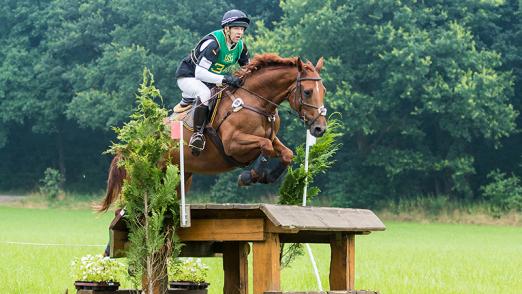 Foto: Escapada (Top-Eventers-Sales-Day 2011) unter Thomas Bangert 2016 erfolgreich auf CIC1*-Niveau - Fotograf: Foto: eventingphoto.com / Top-Eventers