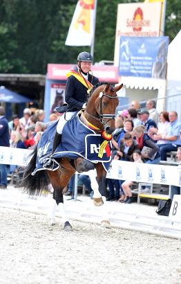 Foto: der Westfalenchampion und Bundeschampion Escolar unter Hermann Burger - Fotograf: Tanja Becker