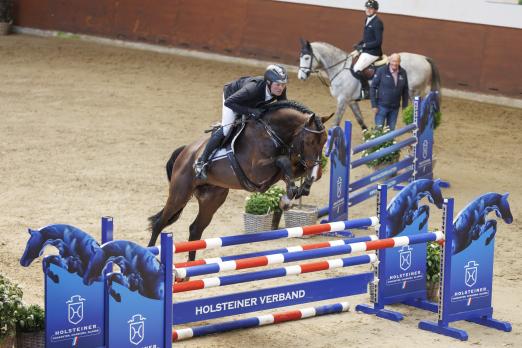 Foto: Explosion v. Eldorado v/d Zeshoek-Contender präsentierte sich unter seinem Züchter Rasmus Lüneburg - Fotograf: RathmannVerlag/Stefan Stuhr