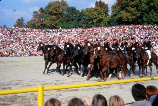 Foto: Fahrschule vom Sattel vor noch größerem Publikum in der 1978 neu errichteten Hengstparadearena - Fotograf: Brendle