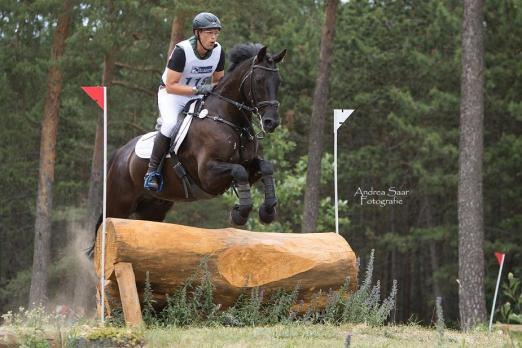 Foto: Prüfungssieger Felix Sulzer auf Lord Hayagriva - Fotograf: RV Sulzthal