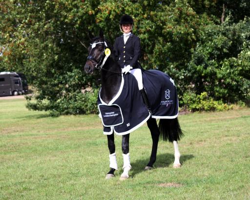 Foto: Der Holsteiner Hengst Fidano avancierte zum Landeschampion der Dreijährigen unter Kimberly Hinrichs - Fotograf: Désirée Dann