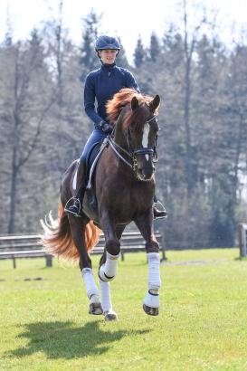 Foto: Floriscount OLD - Fotograf: © Kiki Beelitz