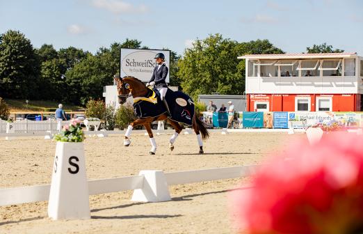 Foto: Die frischgekürte Hannoveraner Championesse Flower geht mit Janina Tietze beim Bundeschampionat der vierjährigen Stuten und Wallach an den Start - Fotograf: Hannoveraner Verband