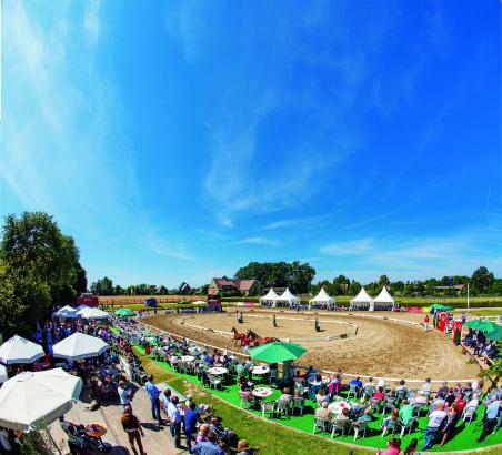 Foto: Live-Auktion im Rahmen der Westfalen Woche 2019 - Fotograf: Reckimedia