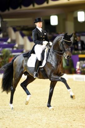 Foto: For Romance I OLD unter Kira Wulferding - Fotograf: Tanja Becker Foto: For Romance I OLD unter Kira Wulferding - Fotograf: Tanja Becker