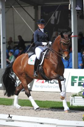 Foto: Forward Looking unter Dorothee Schneider - Fotograf: Tanja Becker