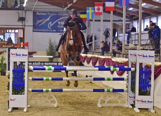 Foto: Bastian Freese und Balou de nous zeigten eine glänzende Runde beim CSI1* Damme - Fotograf: Fotodesign Feldhaus