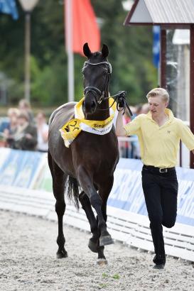 Foto: Dressur-Siegerstute Fine Lady - Fotograf: Karl-Heinz Frieler