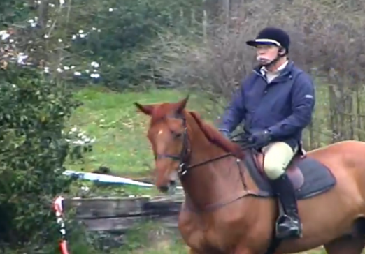 Foto: Fritz Pape bei einem Lehrgang mit Vizeweltmeister Clayton Fredericks in Sindlingen 2009 - Fotograf: Screenshot aus einem ReiterRevue-YouTube-Video