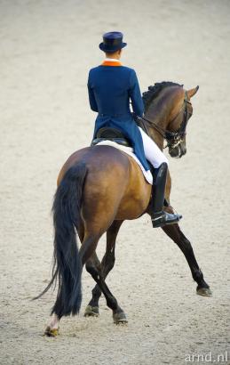 Foto: GLOCK Rider Hans Peter Minderhoud und GLOCK's Romanov werden bei den Europameisterschaften zur neuen Kürmusik „Romanov’s Rhapsody“ tanzen. - Fotograf: Arnd Bronkhorst