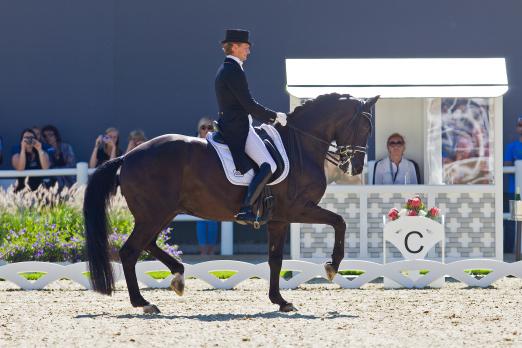 Foto: Der viel umjubelte Sieger in der CDI4* Musikkür: GLOCK Rider Edward Gal und Glock’s Tango in der Piaffe - Fotograf: Michael Rzepa