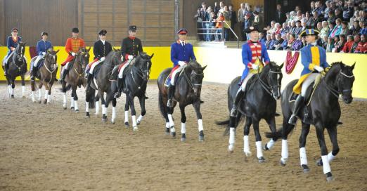 Foto: Gratulationsquadrille der Deutschen Landgestüte - Fotograf: Foto: Stephan Kube