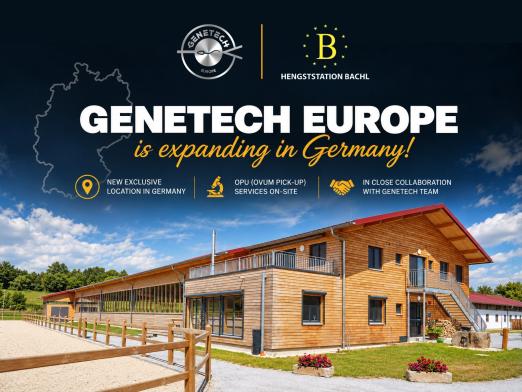 Foto: Genetech Europe Hengststation Bachl Foto: Genetech Europe Hengststation Bachl